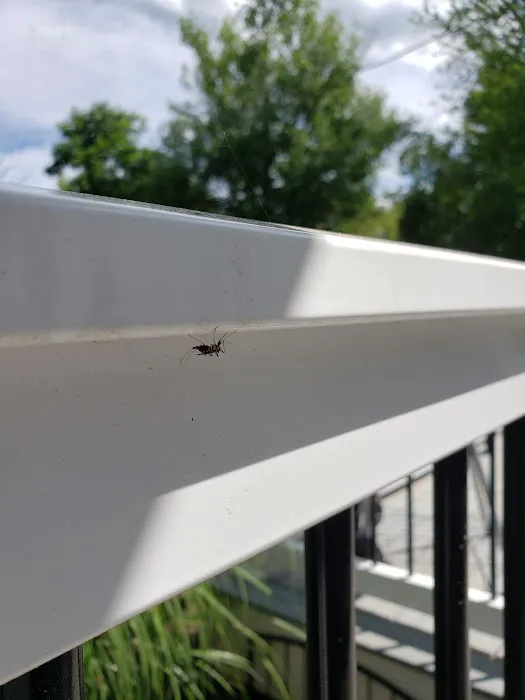 Smith Family Pest Control Picture 8