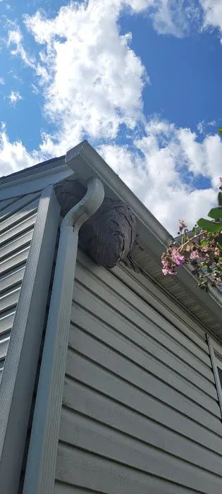 The Pest Rangers Montgomery County: Termite and Pest Control Picture 7