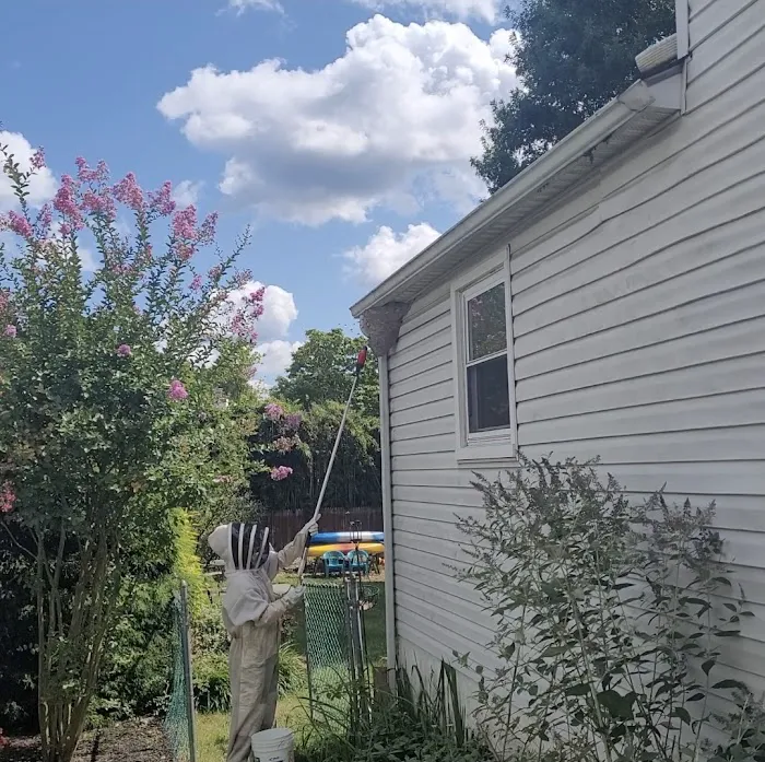 The Pest Rangers Montgomery County: Termite and Pest Control Picture 6
