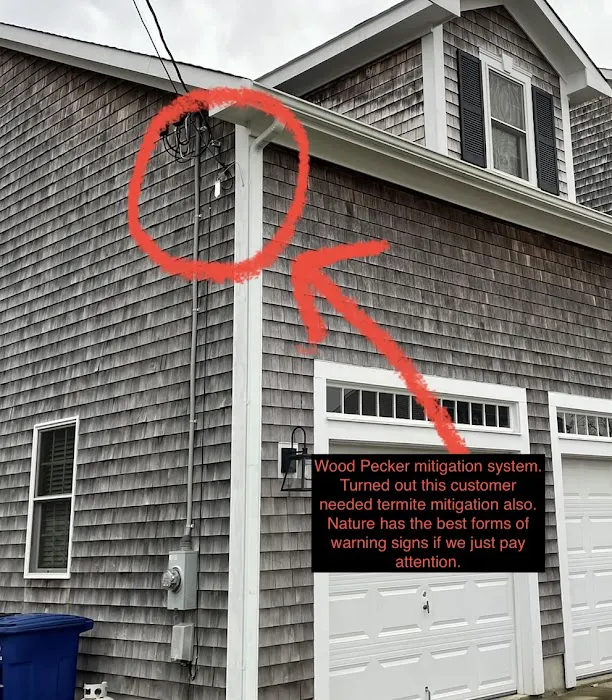 Shoreline Pest Solutions Picture 3