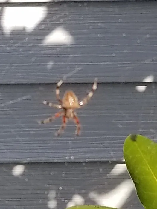 Grove Pest Control Picture 2