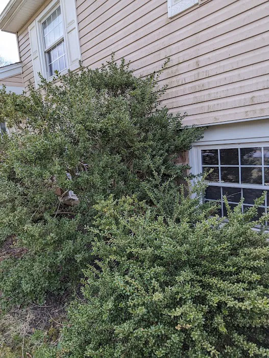 Grove Pest Control Picture 4