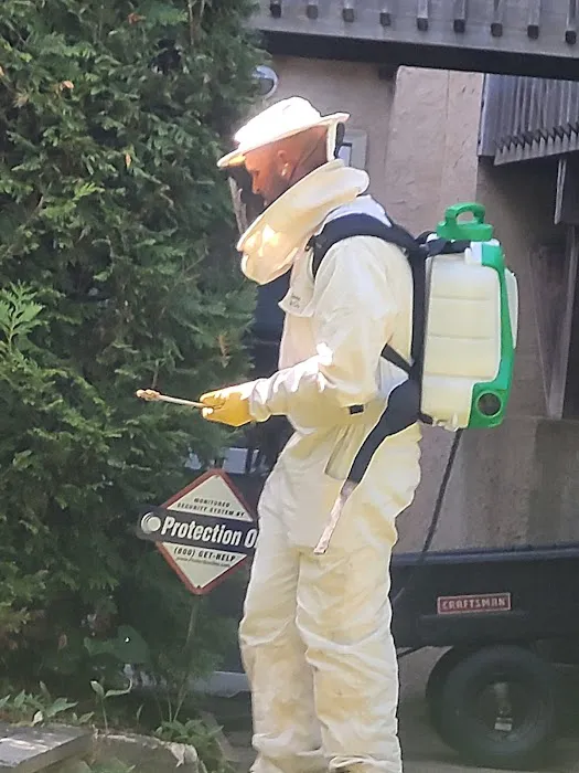 Mills Pest Control Picture 3