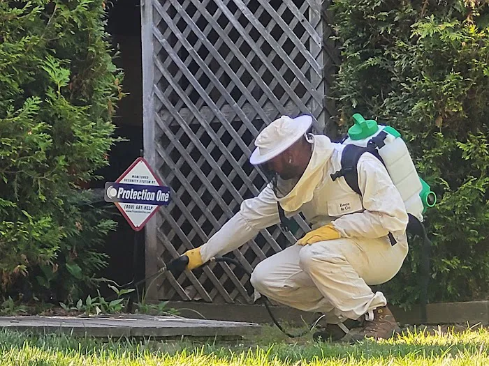 Mills Pest Control Picture 5