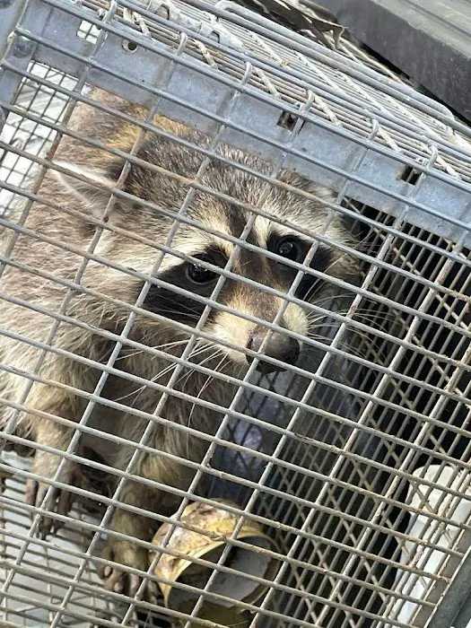 Mills Pest Control Picture 2