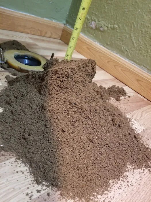 Custom Pest Solutions LLC Picture 3