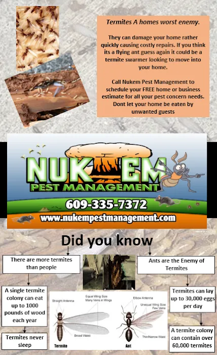 Nukem Pest Management Picture 2