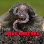 1st & Goal Pest And Animal Control