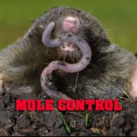 1st & Goal Pest And Animal Control ico