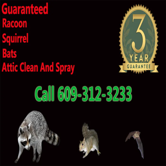 1st & Goal Pest And Animal Control Picture 4
