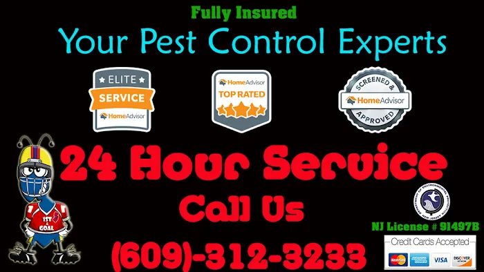 1st & Goal Pest And Animal Control Picture 3
