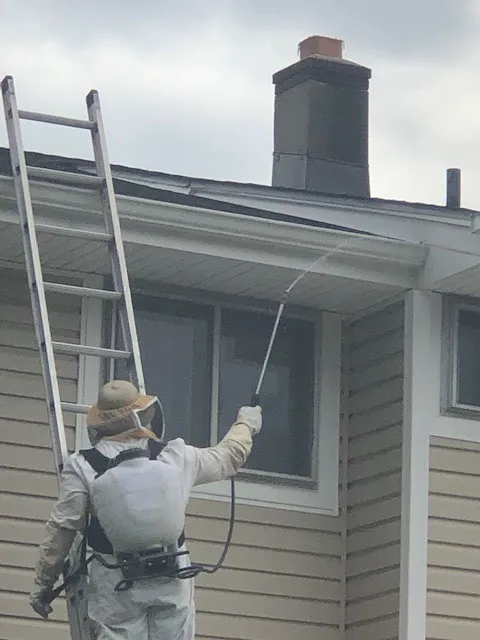 All American Termite & Pest Control Picture 7