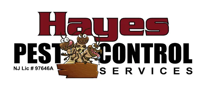 Hayes Pest Control Services Picture 1
