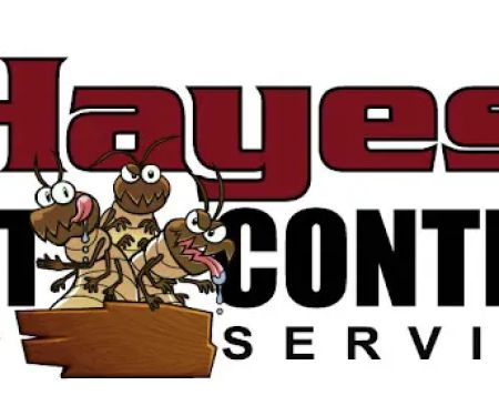 Hayes Pest Control Services