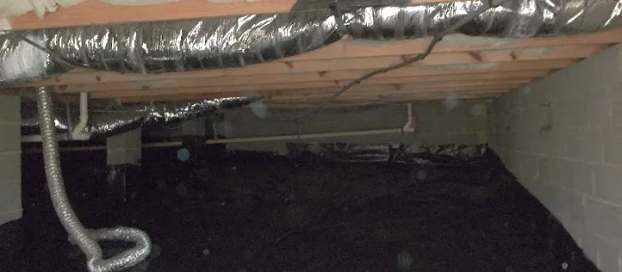 Patriot Exterminating LLC. Picture 4