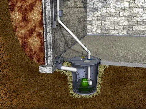 Patriot Exterminating LLC. Picture 7