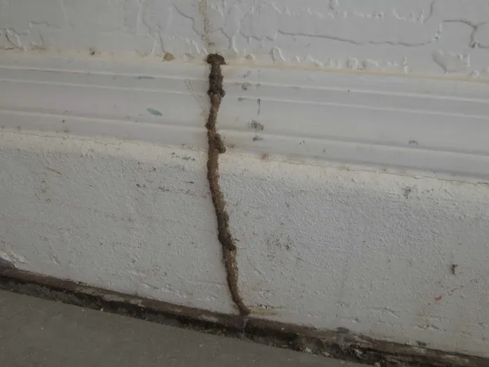 Patriot Exterminating LLC. Picture 5