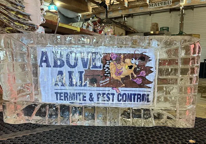 Above All Termite & Pest Control Picture 5