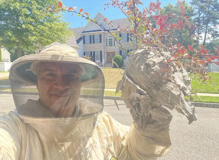 Above All Termite & Pest Control Picture 6