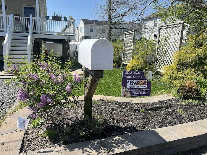 Above All Termite & Pest Control Picture 10