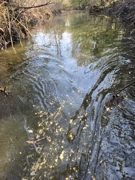 ProTrappers LLC Picture 3