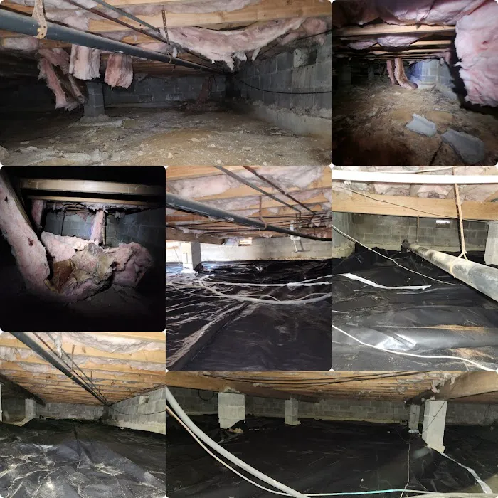 Dan Can Home Services L.L.C Picture 10