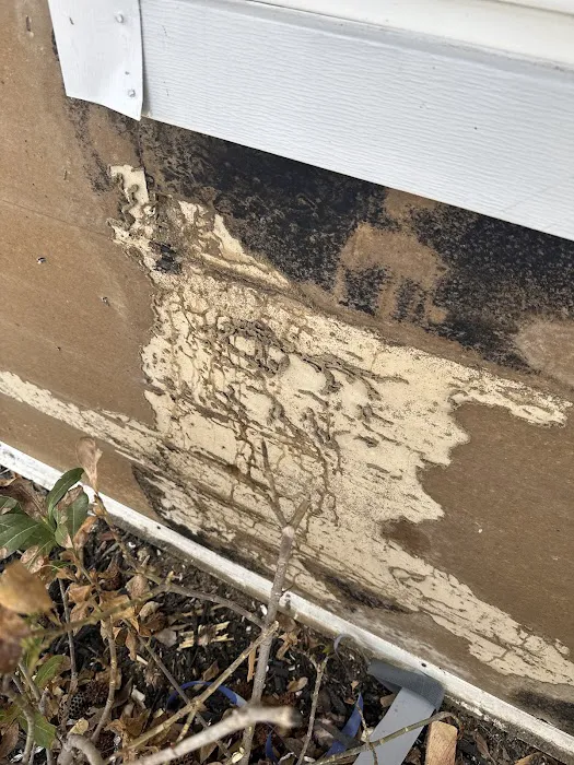 Sleep-Easy Pest Solutions Picture 6