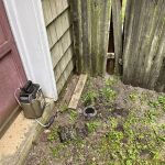 EcoShield Pest Solutions