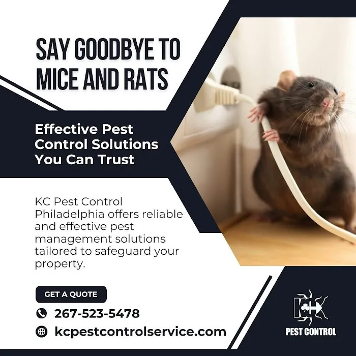KC Pest Control Philadelphia Picture 6