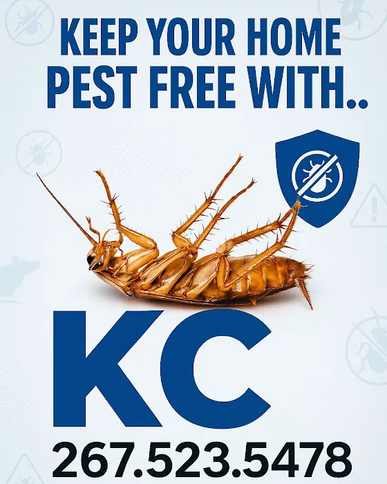KC Pest Control Philadelphia Picture 5