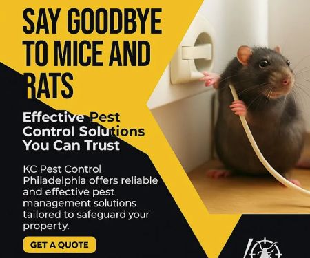 KC Pest Control Philadelphia