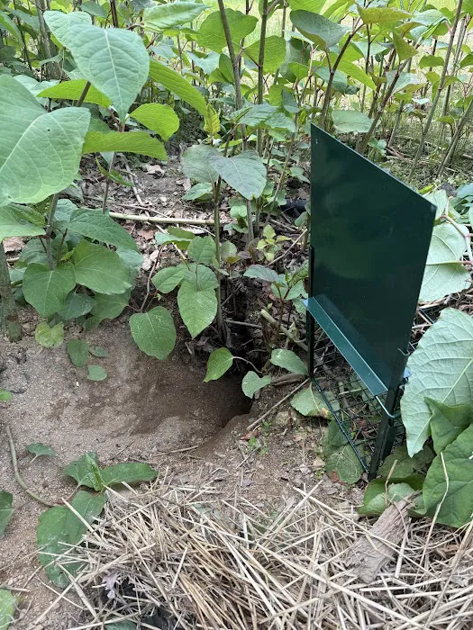 SafeNEST Pest Solutions Picture 1