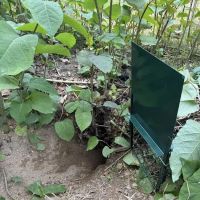 SafeNEST Pest Solutions ico