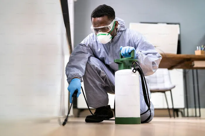 SafeNEST Pest Solutions Picture 3