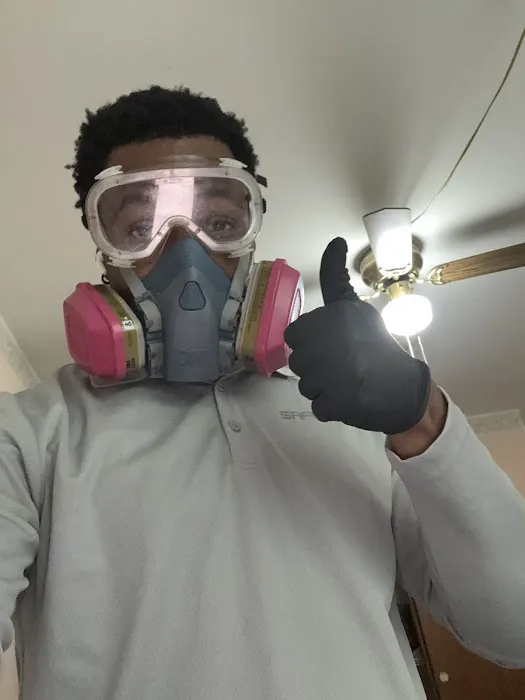 SafeNEST Pest Solutions Picture 5
