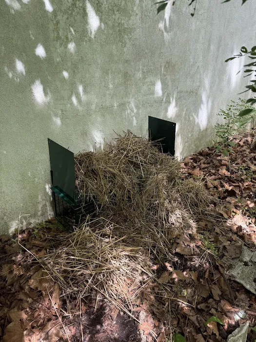 SafeNEST Pest Solutions Picture 8