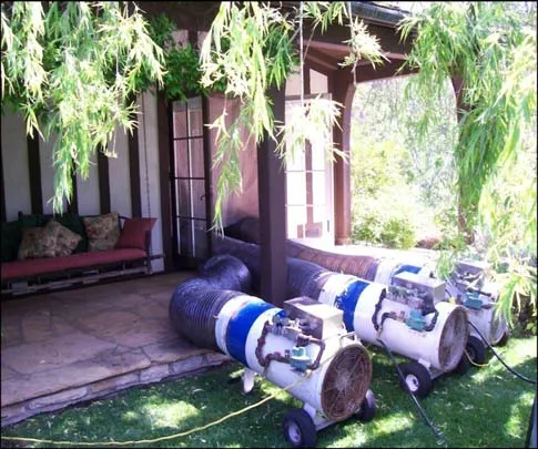Aardvark Pest Management Inc Picture 2