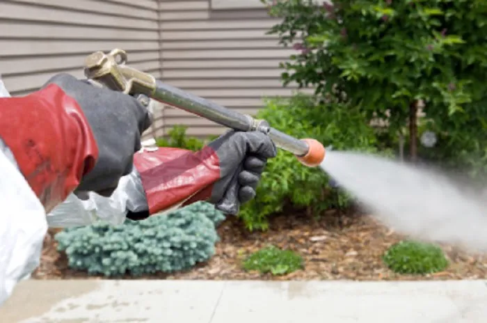 RK Pest Control Inc Picture 4