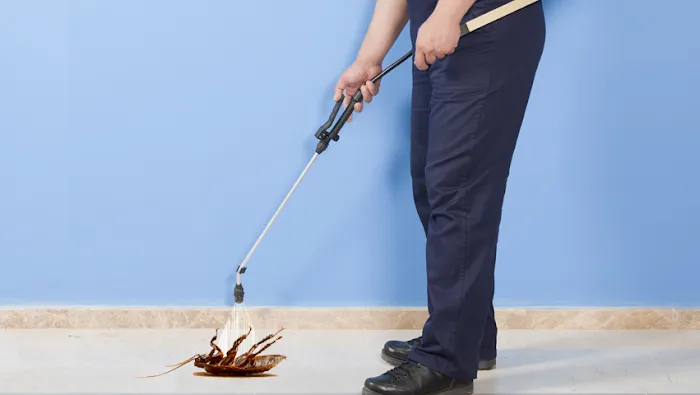 RK Pest Control Inc Picture 10