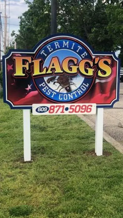 Flagg's Pest Control Picture 3
