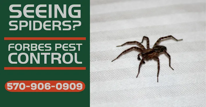 Forbes Pest Control, LLC Picture 1
