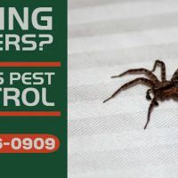 Forbes Pest Control, LLC ico
