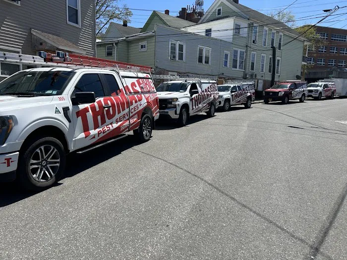 Thomas Pest Services Picture 5