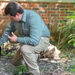 Pestmaster Services