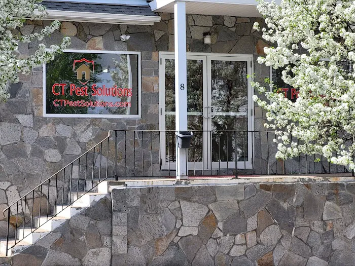 CT Pest Solutions Picture 8