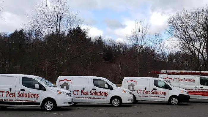 CT Pest Solutions Picture 4