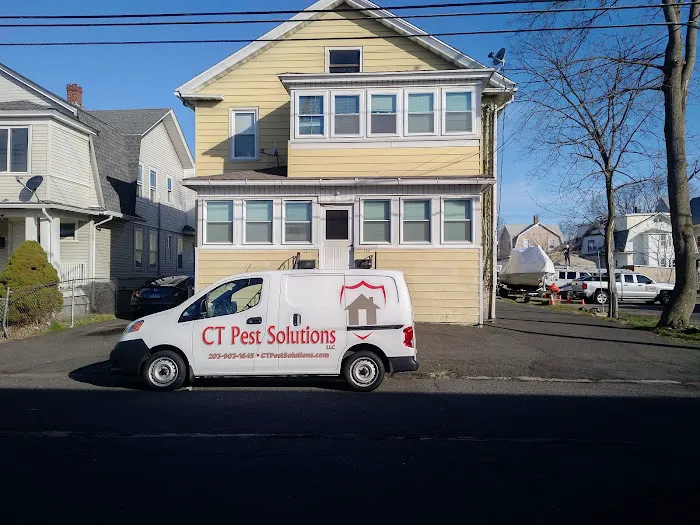 CT Pest Solutions Picture 5