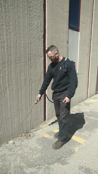 CT Pest Solutions Picture 10