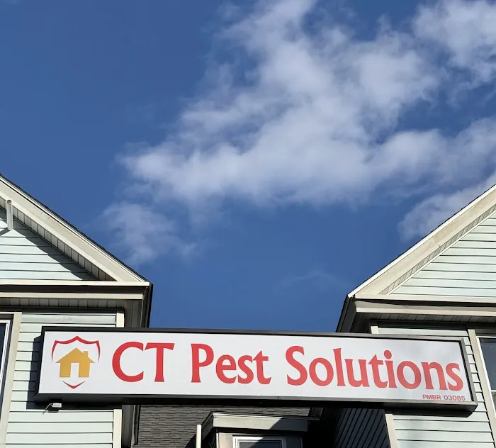CT Pest Solutions Picture 3