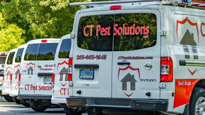 CT Pest Solutions Picture 6
